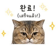 840814141
