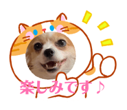 840814286