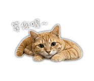 840815140
