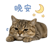 840815429