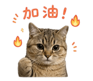 840815430