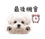 840816084