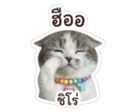 840816157