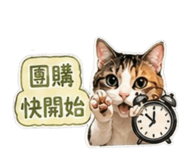 840816365