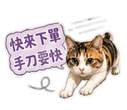 840816373