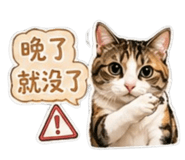 840816374