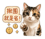 840816389
