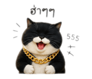 840816580