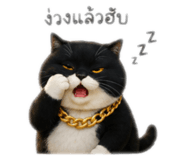 840816585