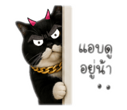 840816592