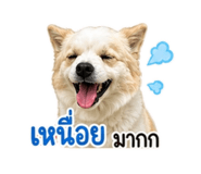 840816765