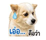 840816768