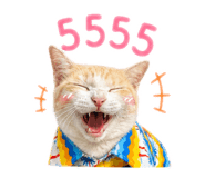 840817508