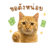 840817513