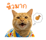 840817527