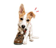840818316