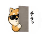 840818595