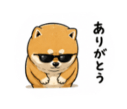 840818598