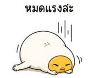 840818702