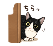 840819121