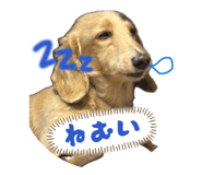 840819130