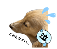 840819134