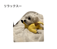 840819289