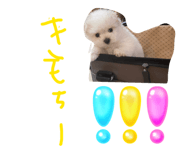840819302
