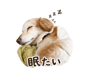 840819433