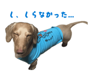 840819435