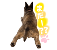 840819504