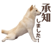 840819819