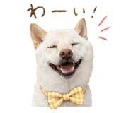 840819822