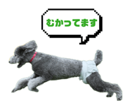 840820080