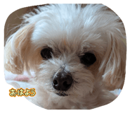 840820085
