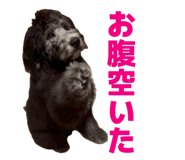 840820205