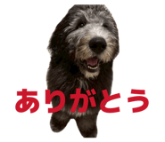 840820206