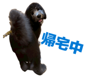 840820208