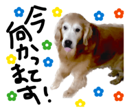840820381