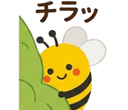 840820519