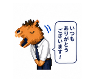 840820554