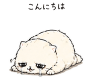 840821562