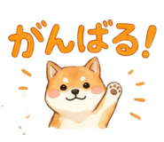 840822754