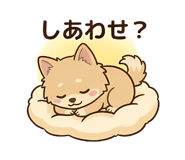 840822878