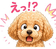 840823342