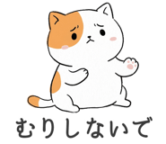 840823704