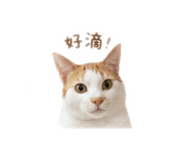 840824365