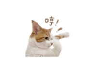 840824367