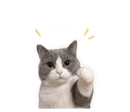 840824399
