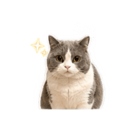 840824404